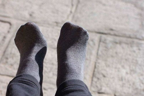 關(guān)于蚊子的5個(gè)冷知識(shí),臭襪子居然會(huì)讓其失去理智